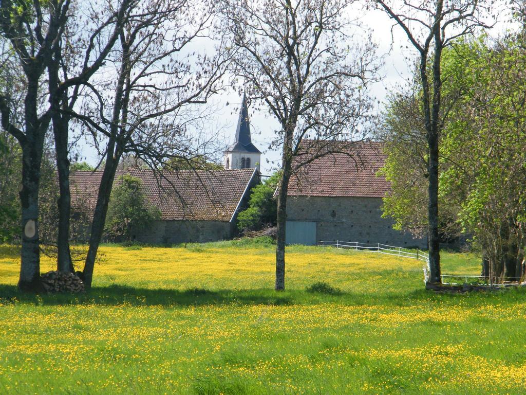Datcha Bourguignonne, Chambres & Gite Maconge Exterior foto