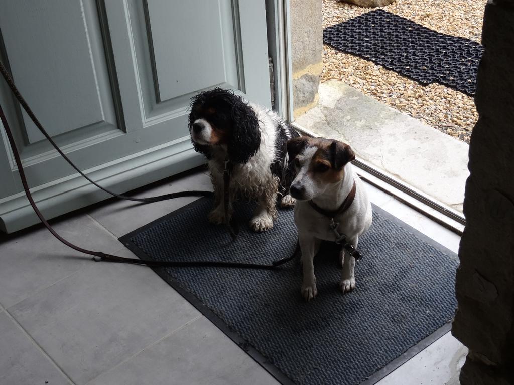 Datcha Bourguignonne, Chambres & Gite Maconge Exterior foto